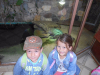 dscn8838