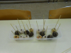 dscn0933