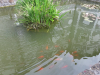 20190617_095415
