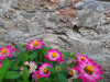 20190617_103256