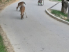 20190617_123048