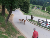 20190617_123155