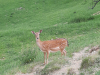 20190617_123358