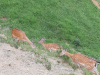 20190617_123441