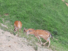 20190617_123444