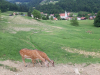 20190617_124010