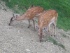 20190617_124100
