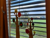IMG_20241011_141212p