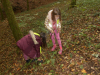 DSCN0082