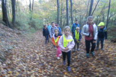 POHOD NA DONAČKO GORA, 27. 10. 2022