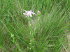 20190616_102757