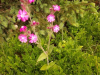 20190616_102934