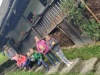img_20190520_123921